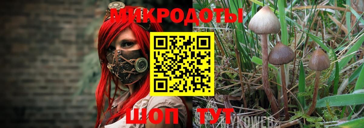 Муравленко  Псилоцибиновые грибы мицелий  Вход с VPN 